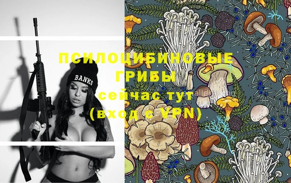 спиды Балахна