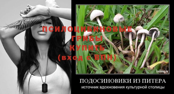 гидра Володарск