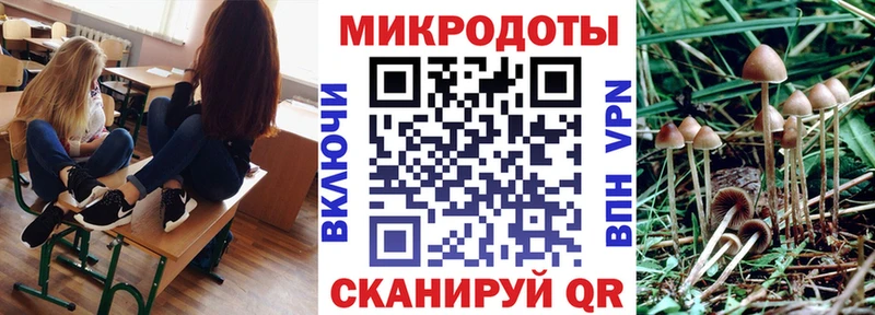 Купить где  Ахтубинск  Псилоцибиновые грибы мицелий 
